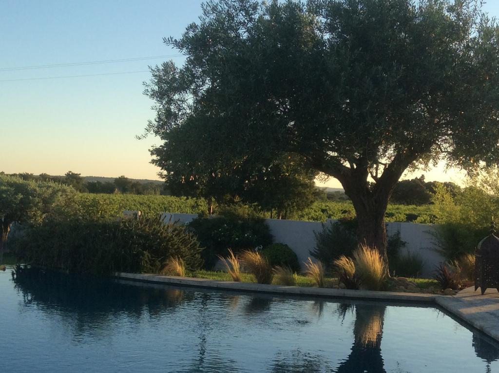 Maison D'Hotes "Les Vignes" Châteauneuf-du-Pape Exterior foto